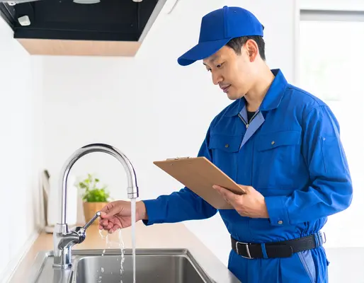 プロフェッショナル